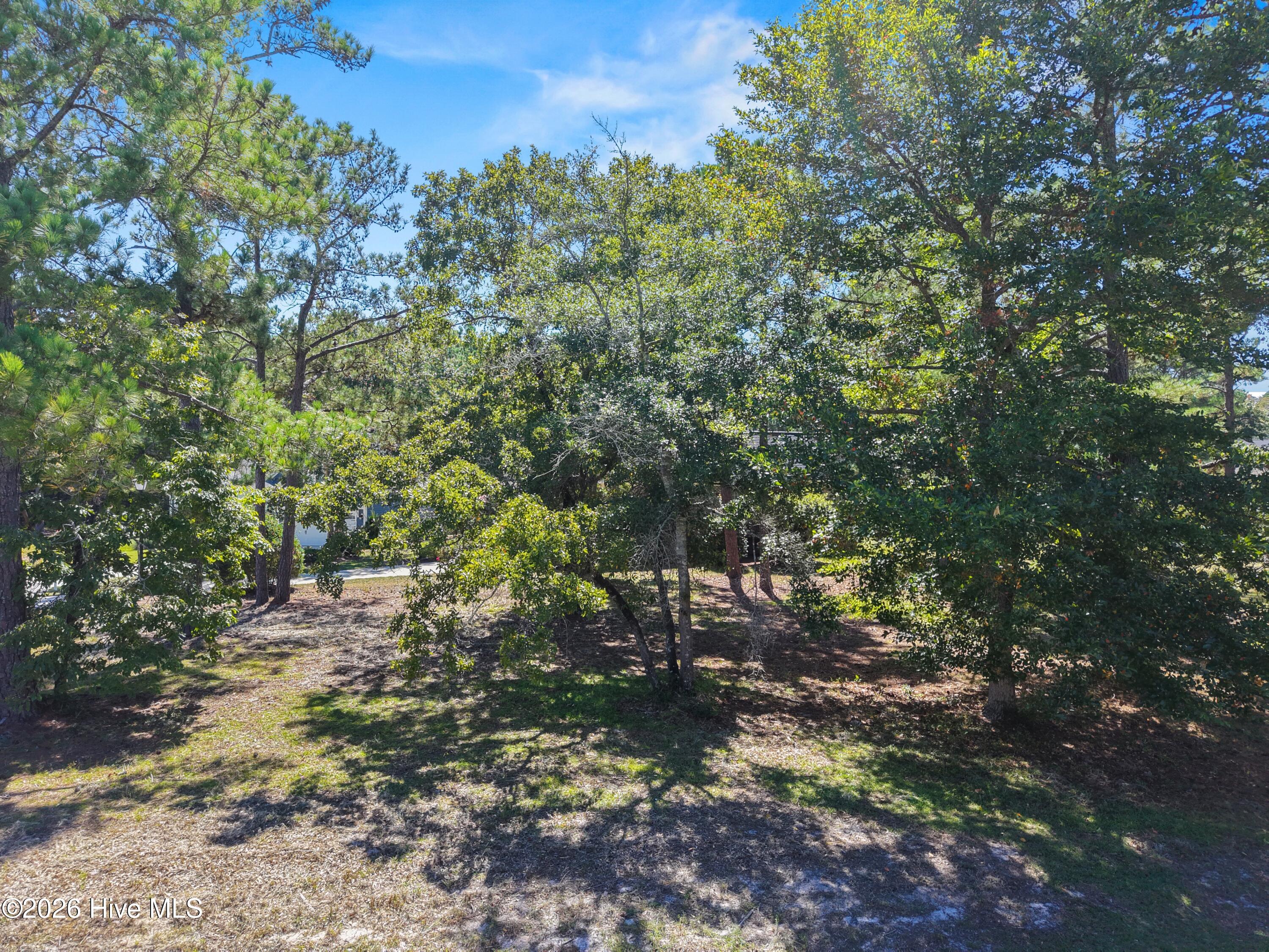 Wooded residential lot with mature trees and dappled sunlight across the ground.