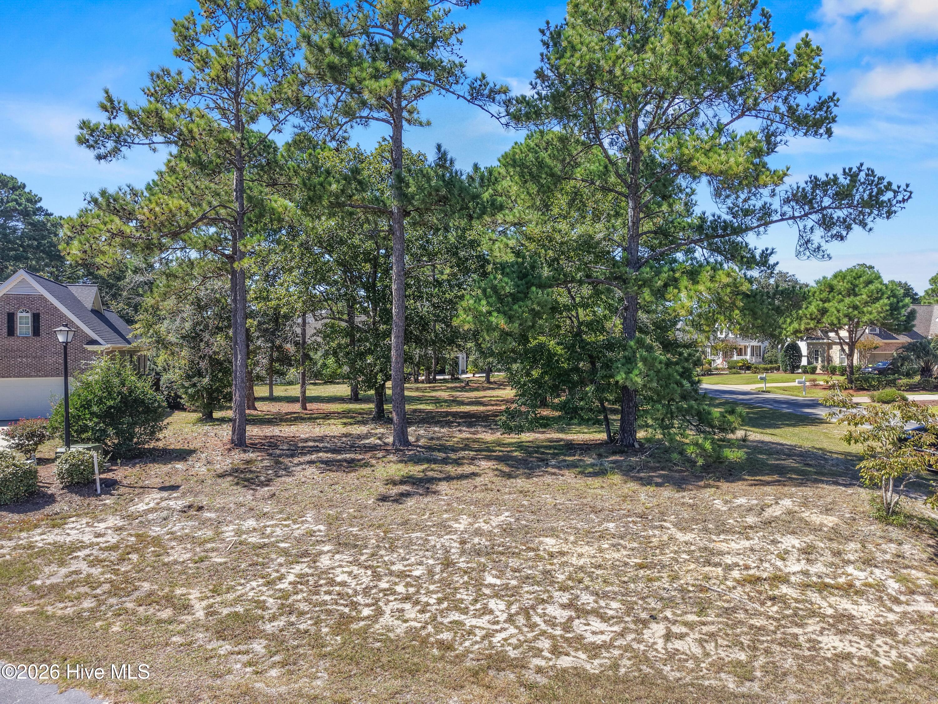 Vacant sandy lot with tall pine trees, neighboring homes, and a residential street.