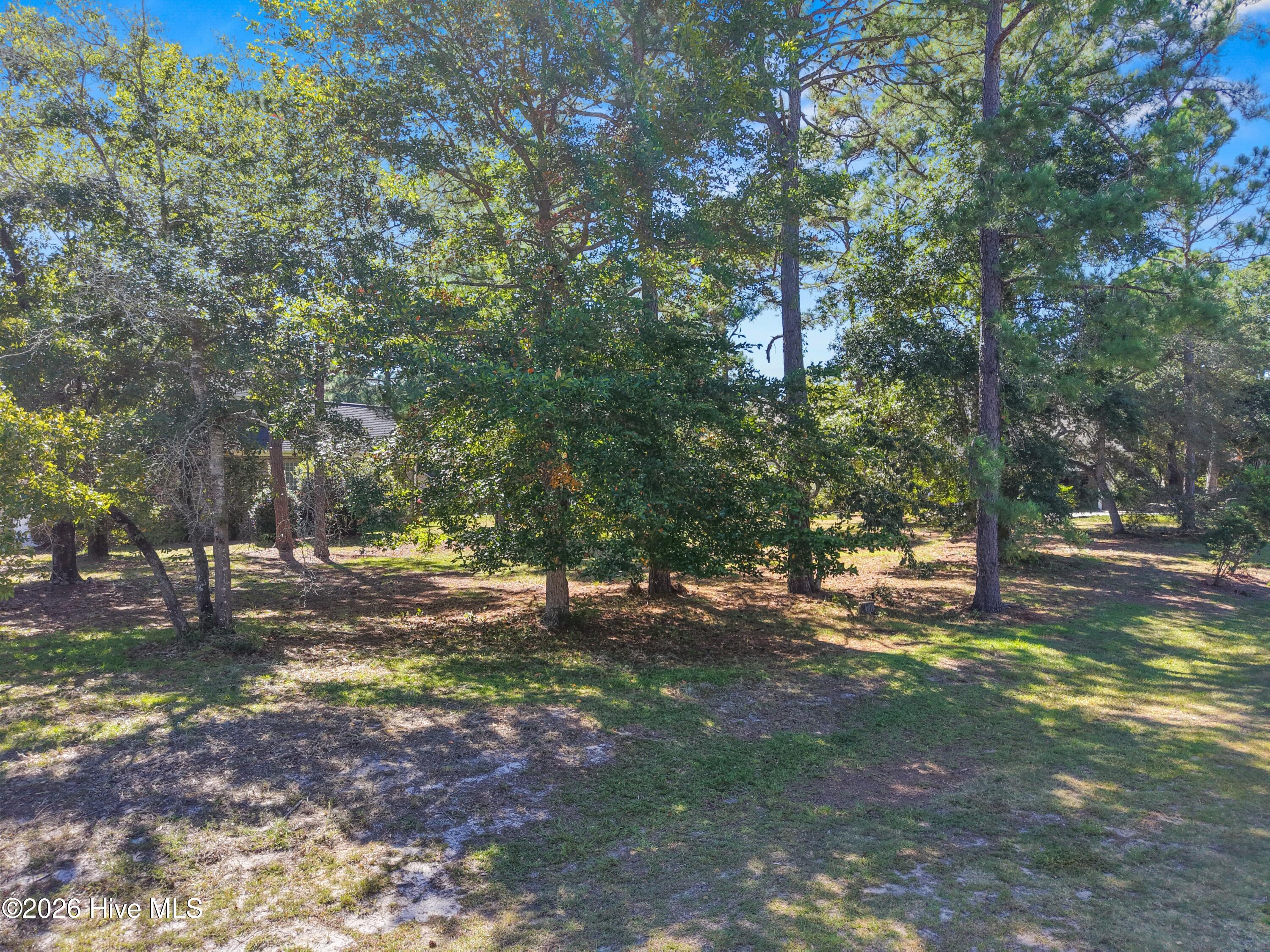 Wooded residential yard with mature trees, patchy grass, and a house partly visible through the foliage.