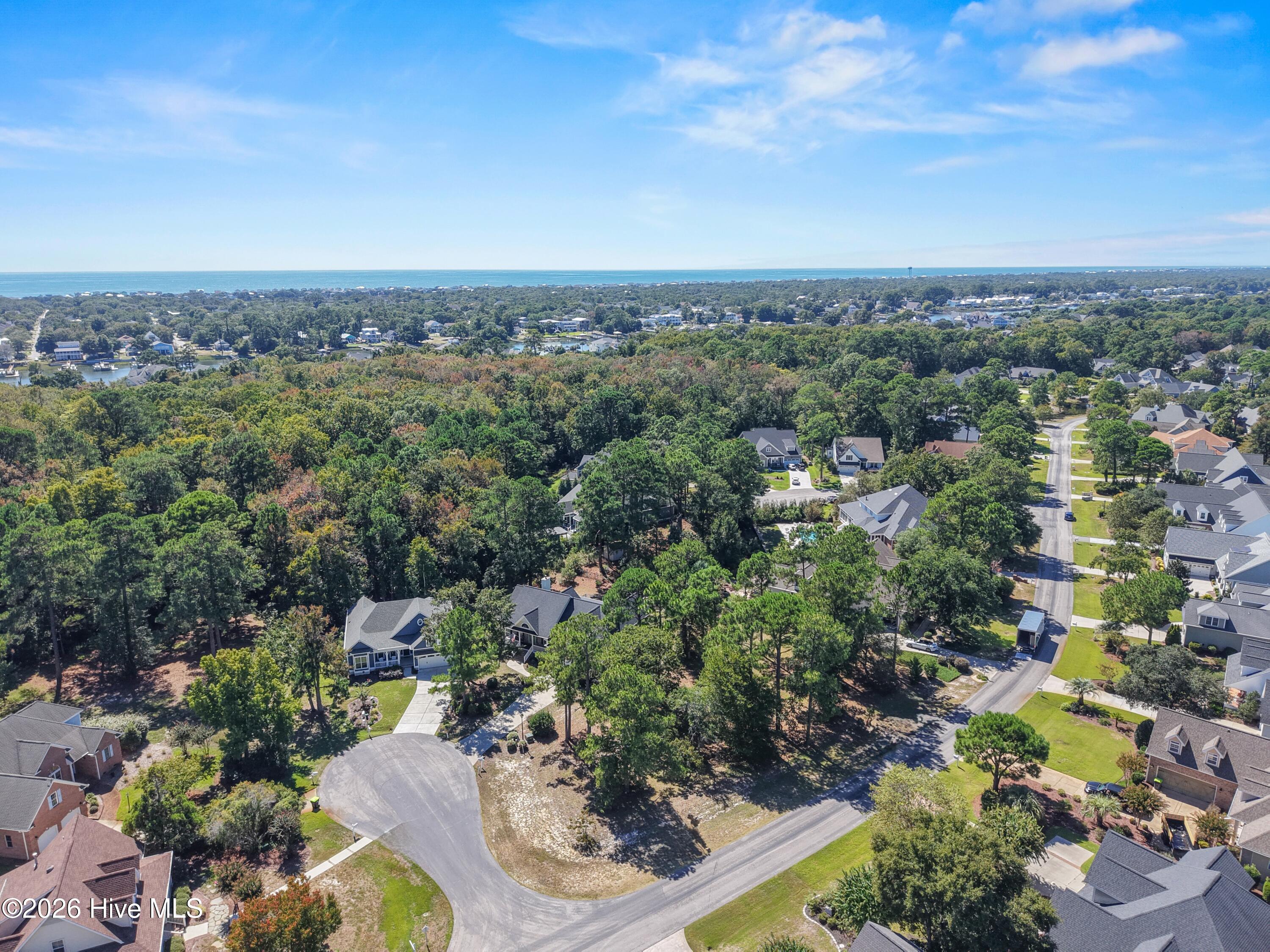 Aerial view of a wooded neighborhood, with homes and the ocean on the horizon.