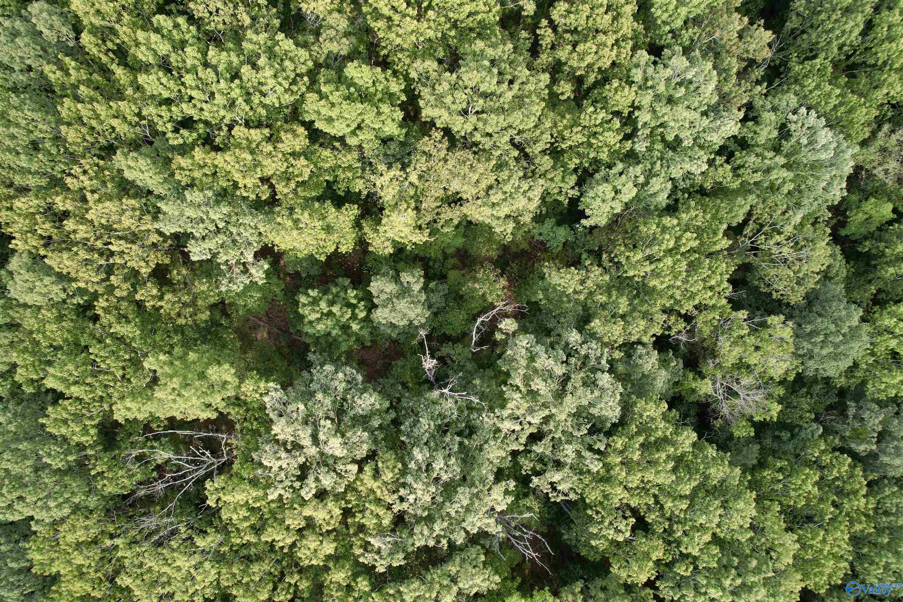 15acres Hwy 101
