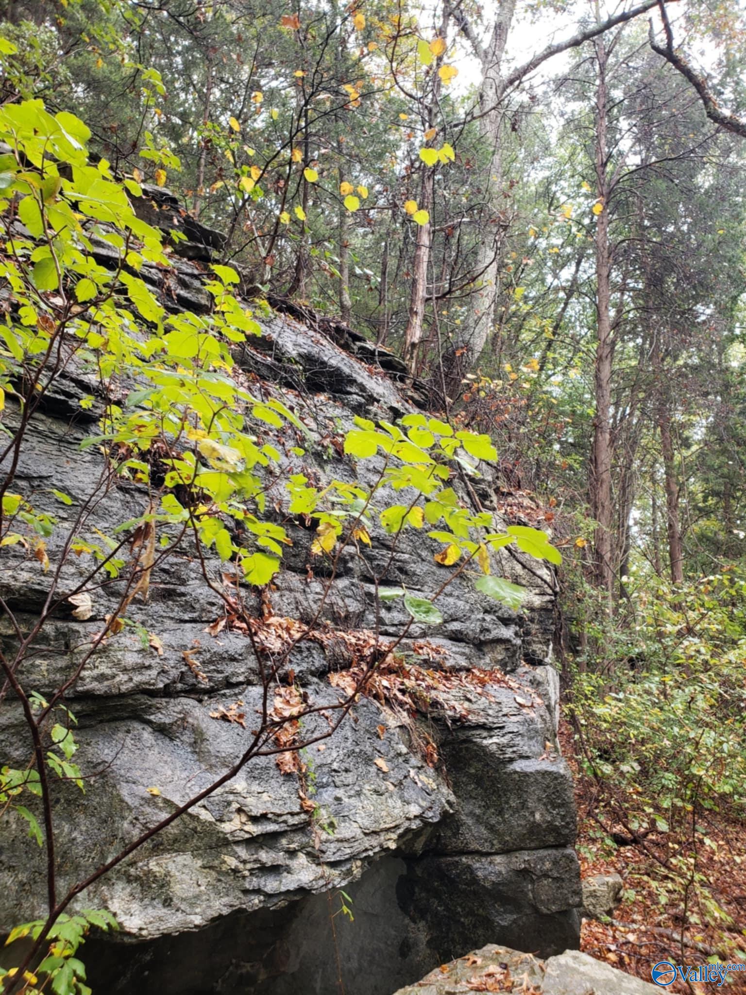 15acres Hwy 101
