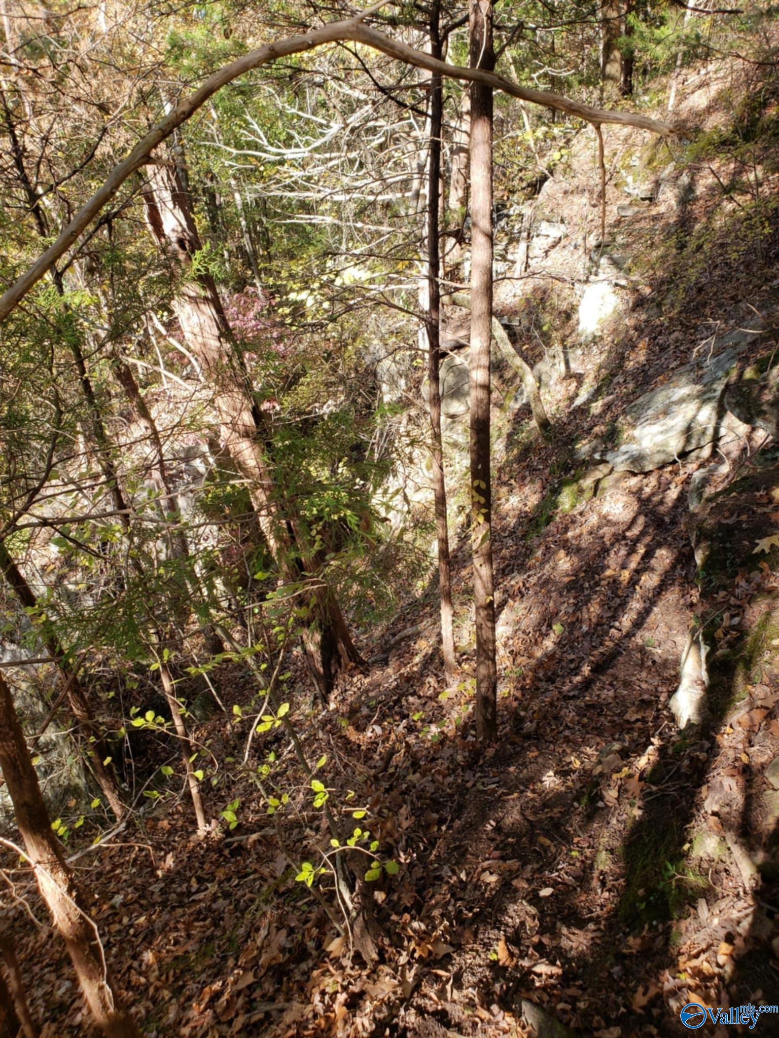 15acres Hwy 101