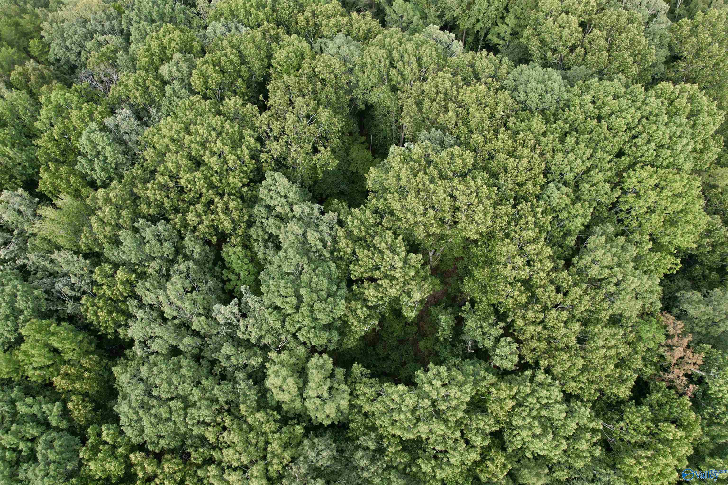 15acres Hwy 101