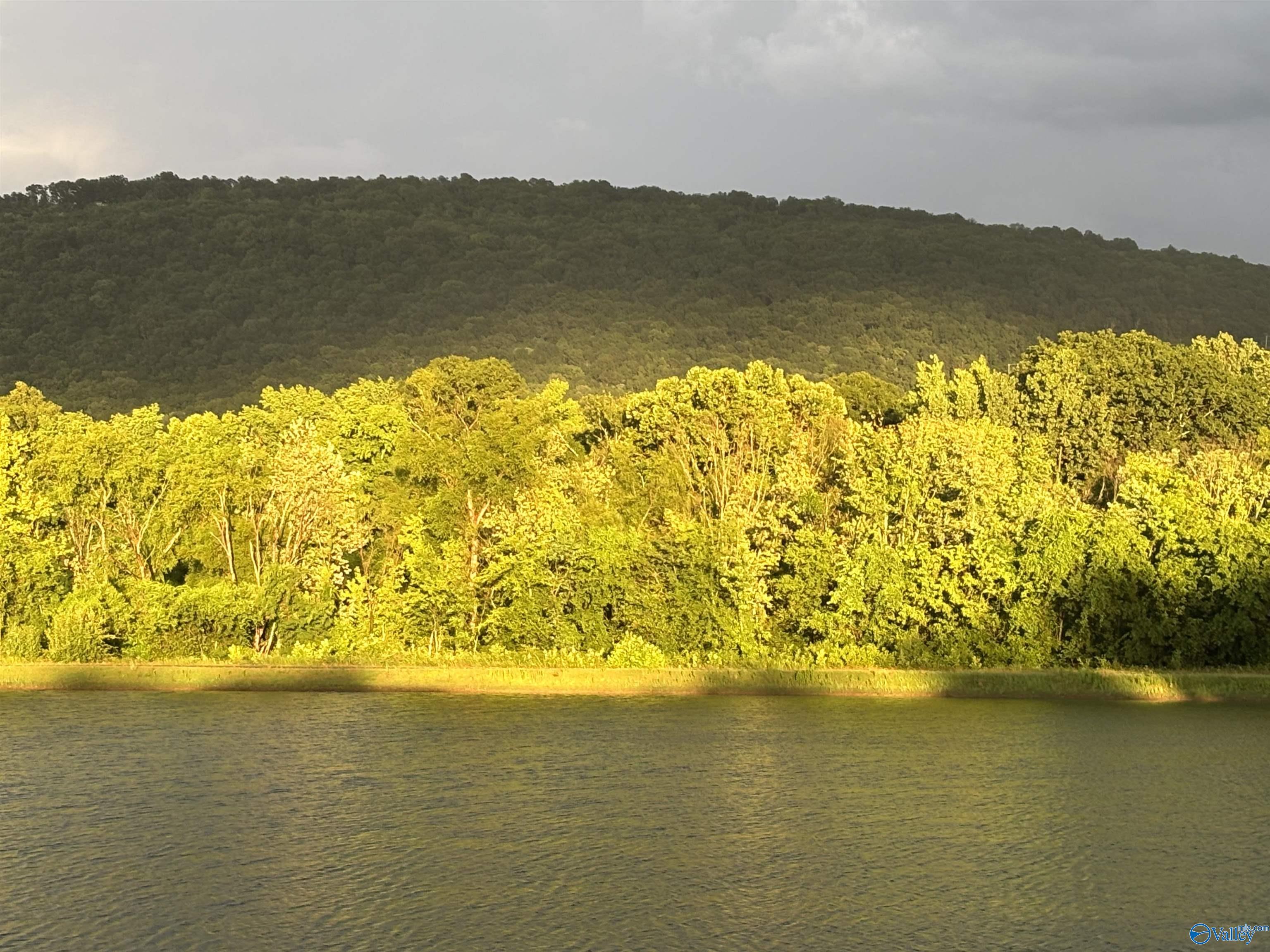 16323 Trestle Street