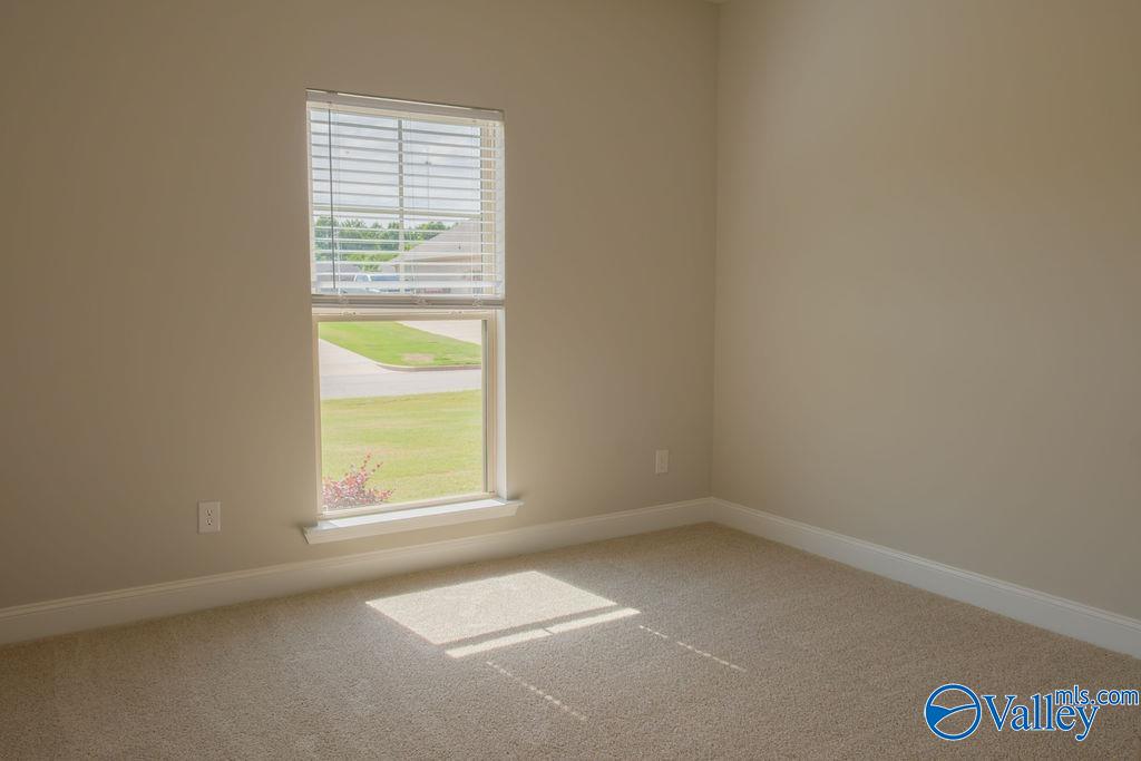 24282 Ransom Spring Drive