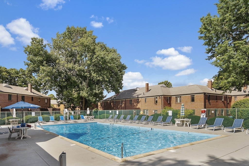 354 Lexington Street # 354