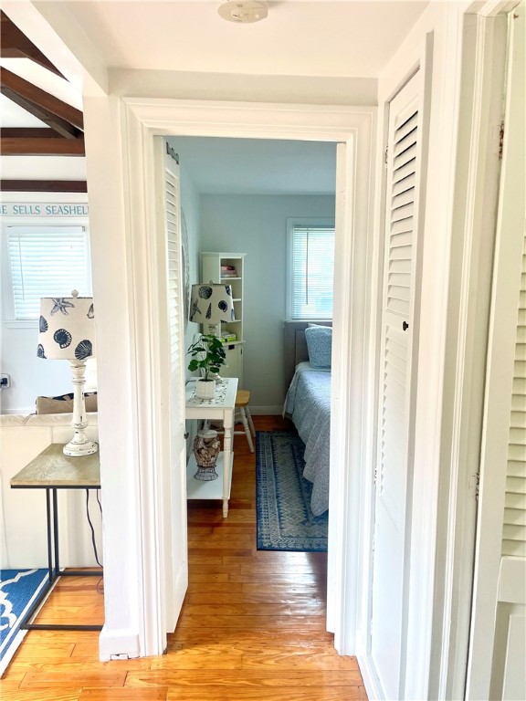 74 Orchard Avenue