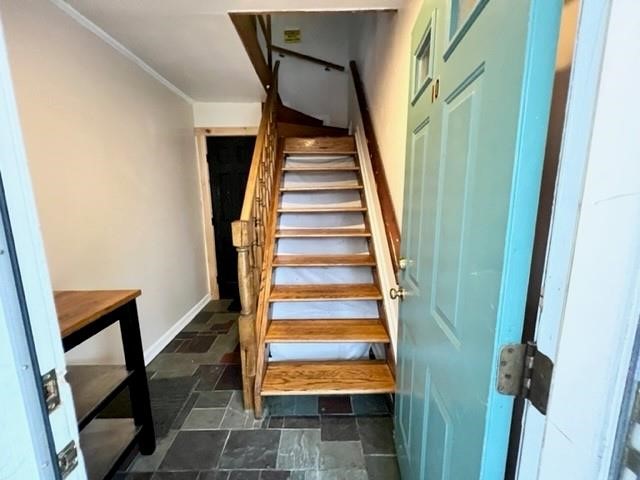 10 Hammond Street B