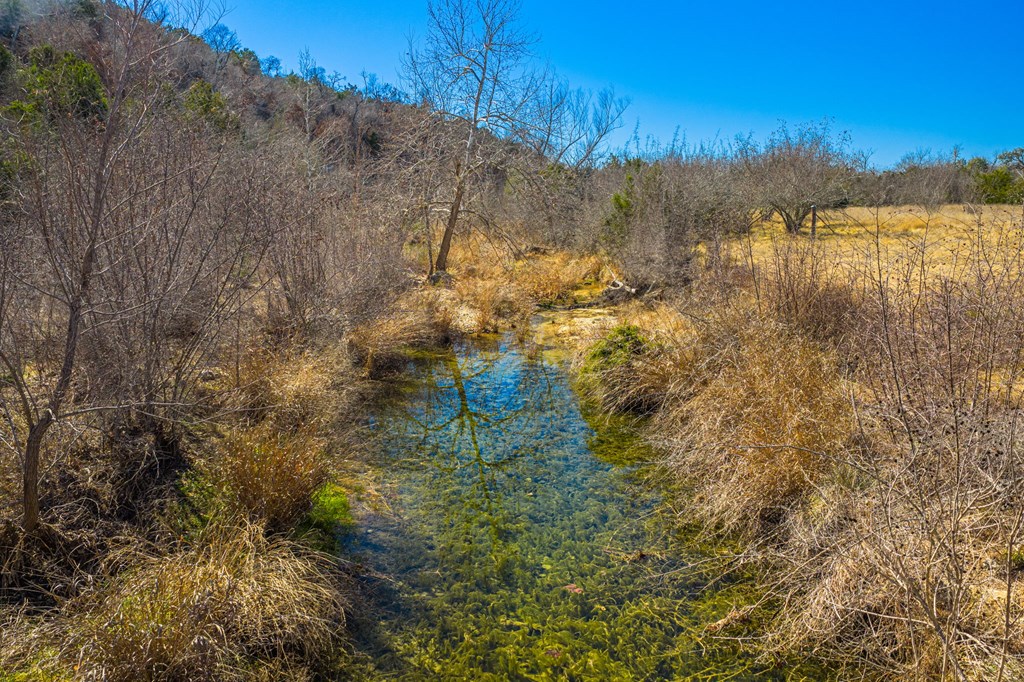 166 Dittmar Creek Rd