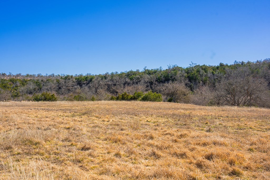 166 Dittmar Creek Rd