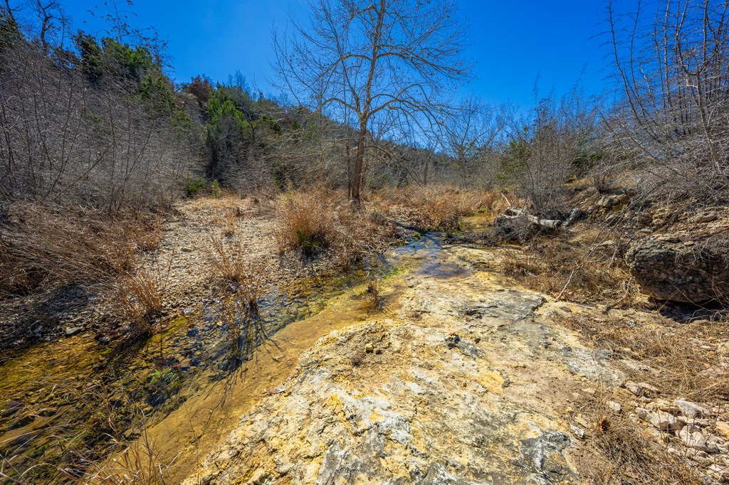 166 Dittmar Creek Rd