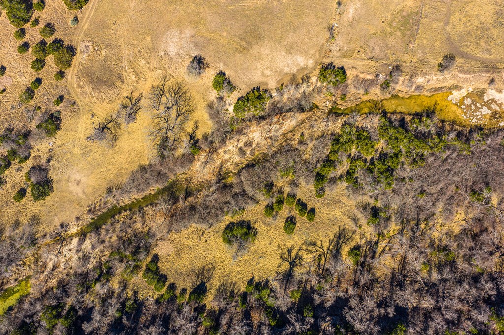 166 Dittmar Creek Rd