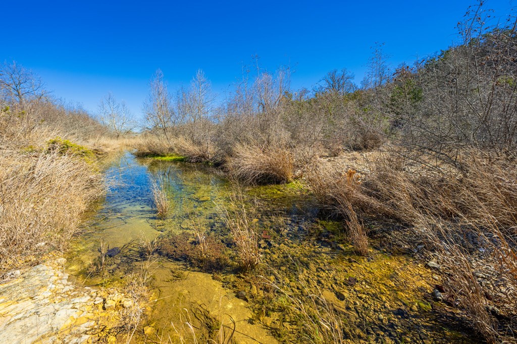 166 Dittmar Creek Rd