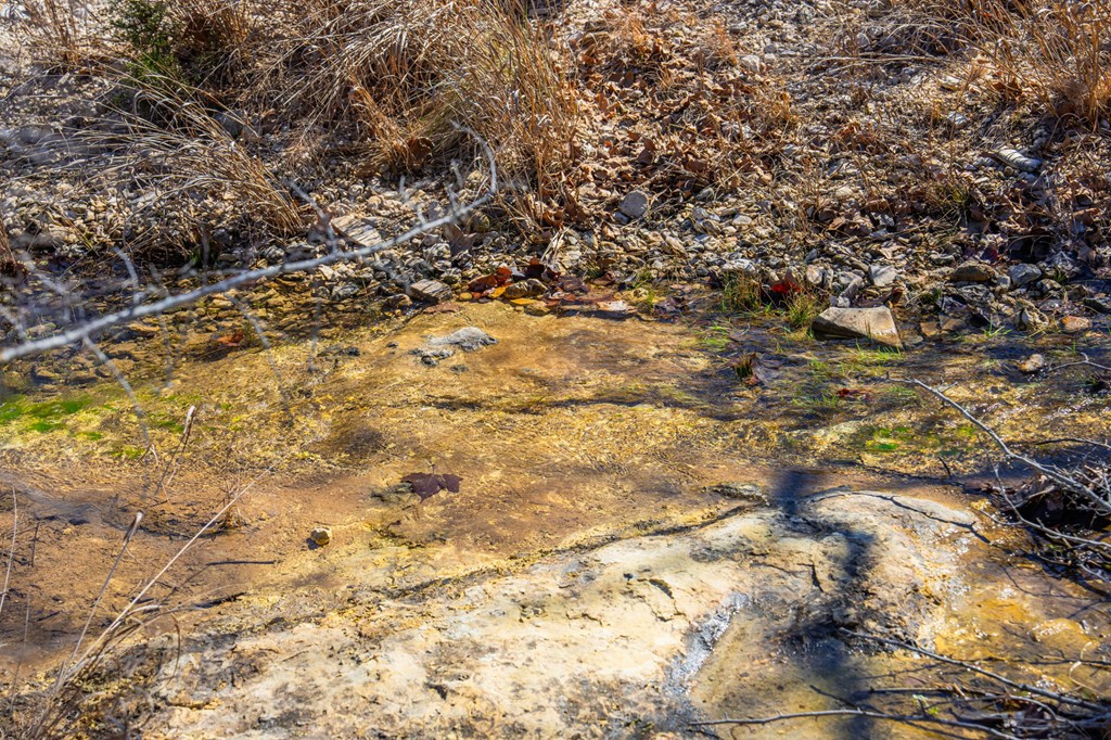 166 Dittmar Creek Rd