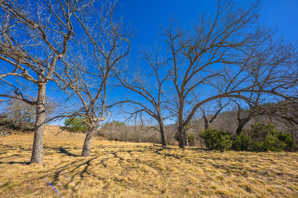 166 Dittmar Creek Rd