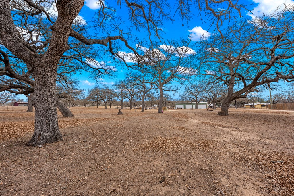 1125 Knopp School Rd