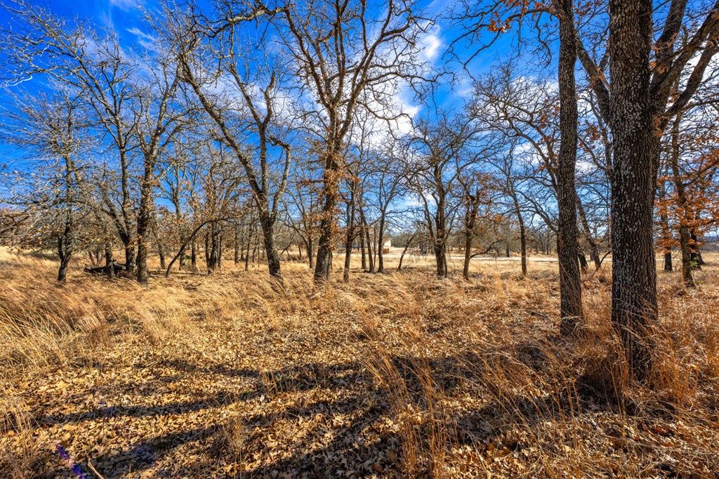 415 Mystic Oaks Trail