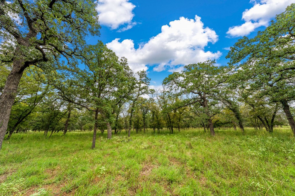 Lot 2 Oak Valley Dr