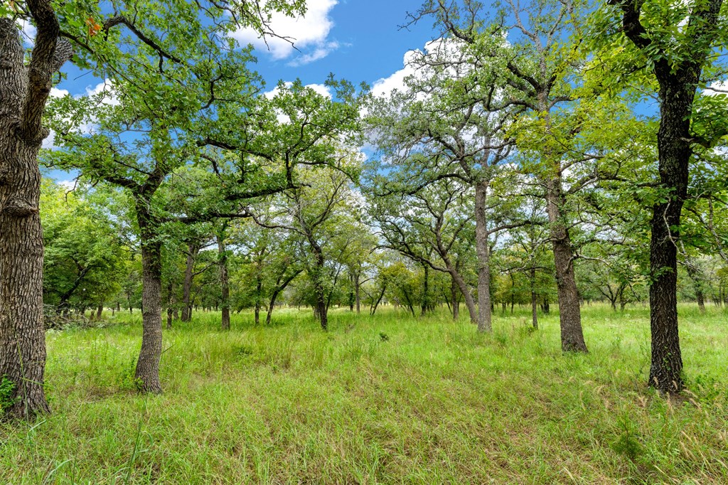 Lot 2 Oak Valley Dr