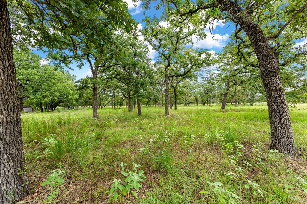 Lot 2 Oak Valley Dr