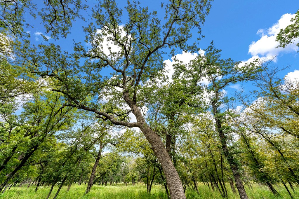 Lot 2 Oak Valley Dr
