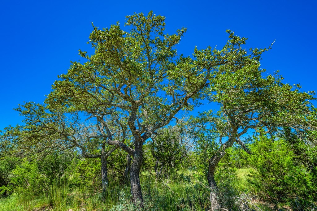 Lot 10 E Gran Vista Dr