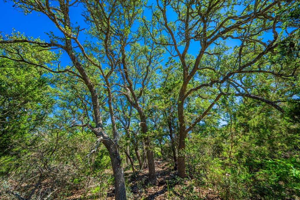 Lot 10 E Gran Vista Dr