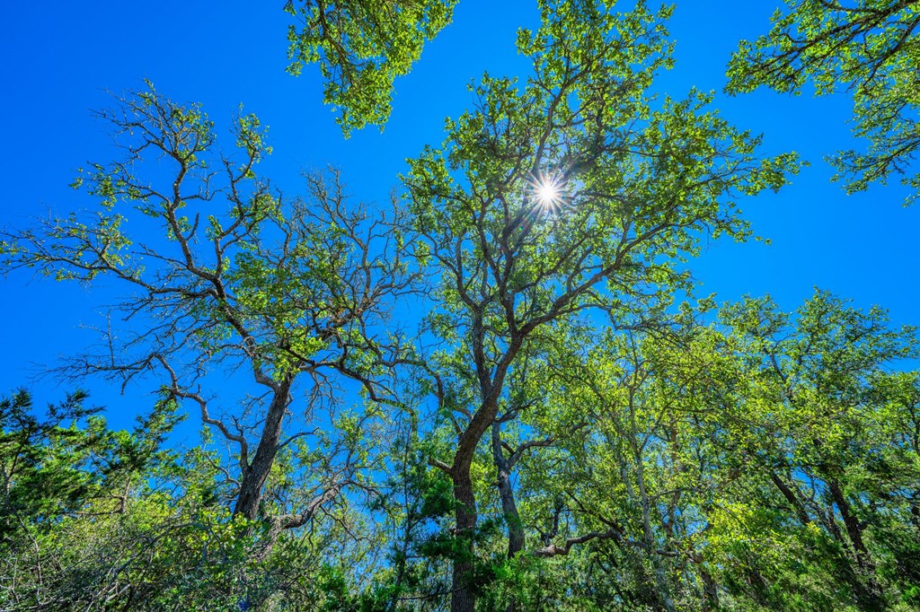 Lot 10 E Gran Vista Dr