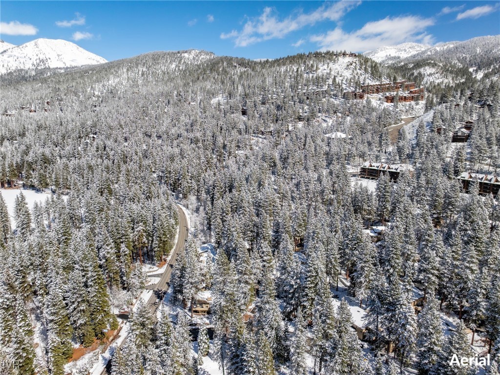 321 Ski Way 29