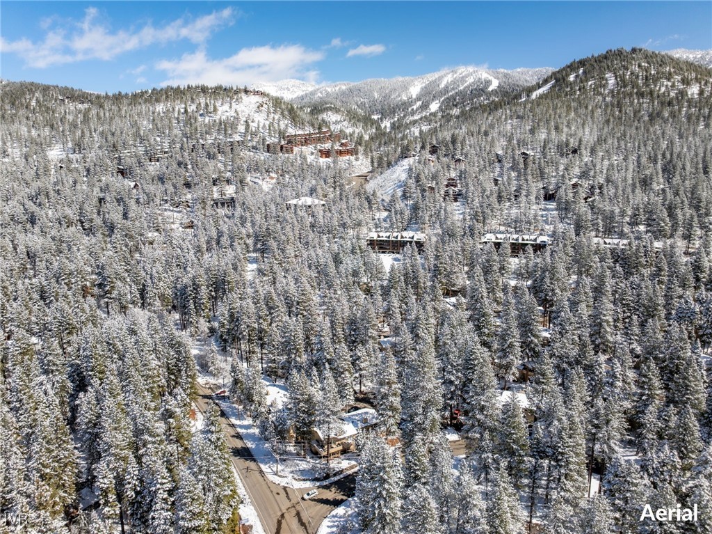 321 Ski Way 29