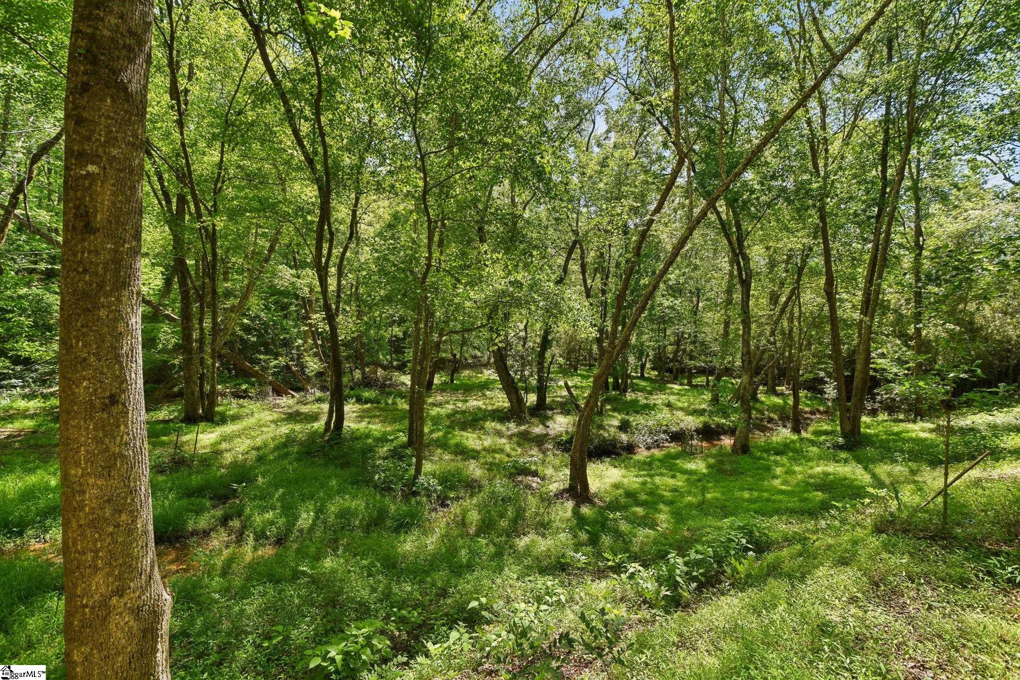 41 Lake Ridge Drive