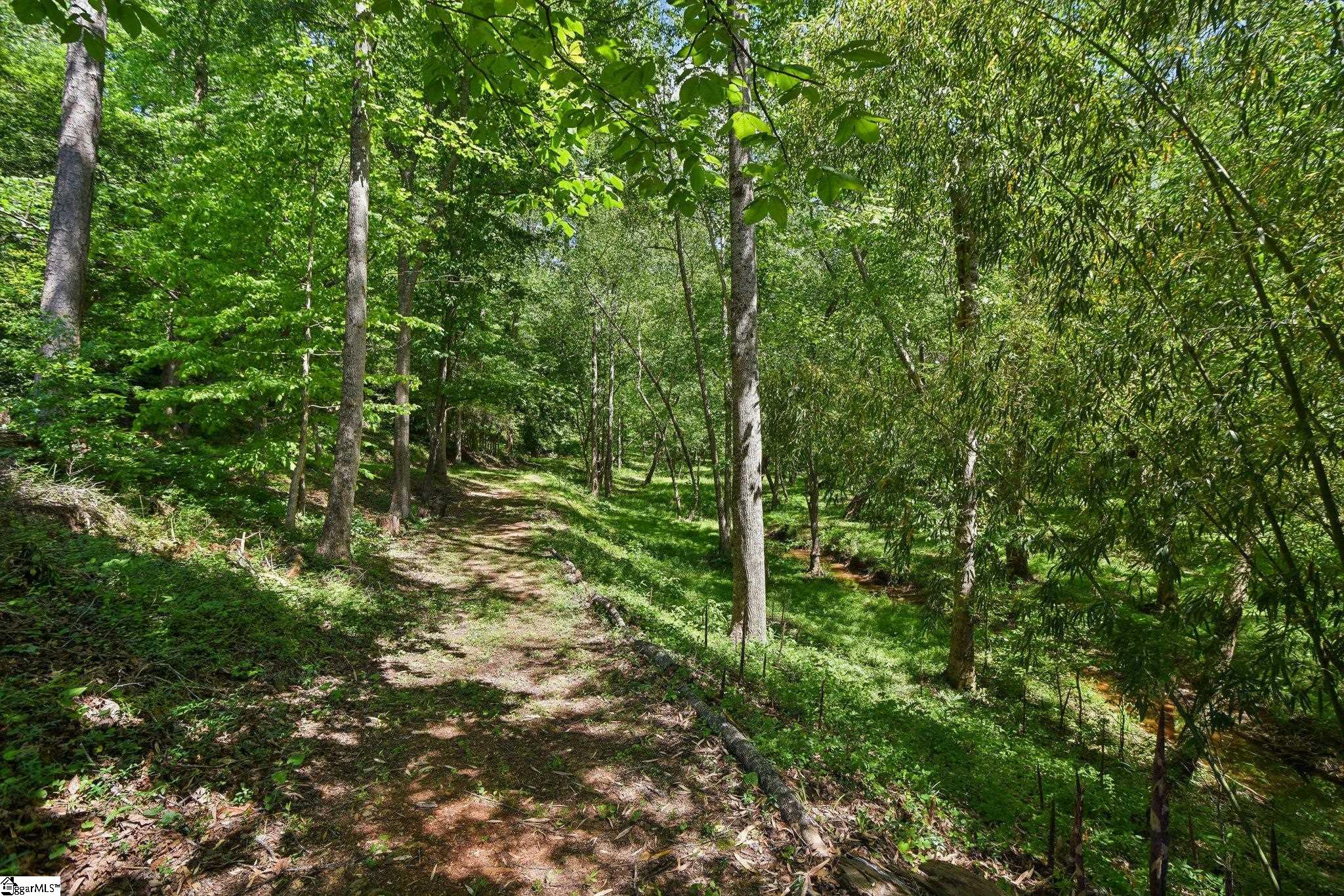 41 Lake Ridge Drive