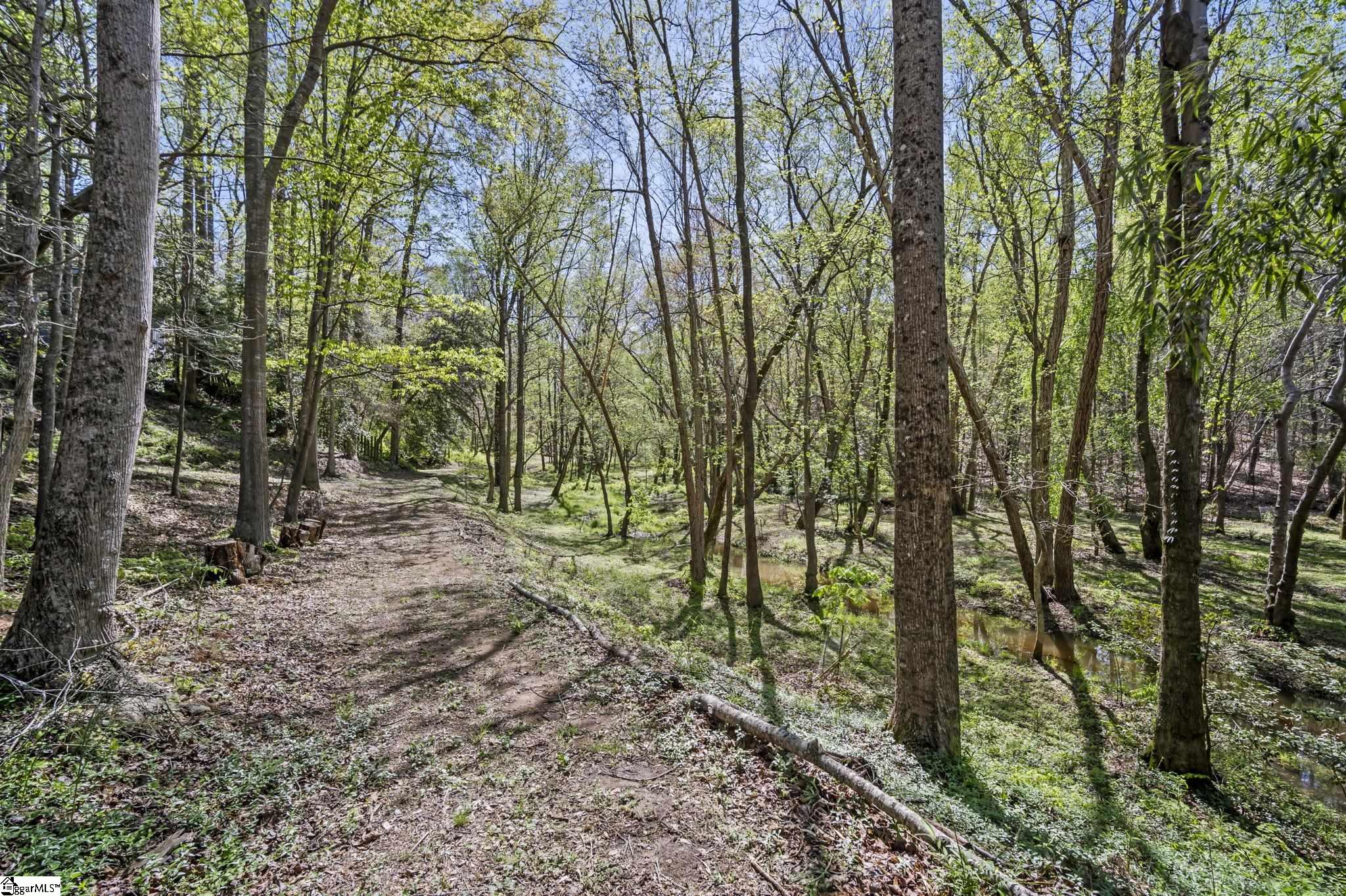 41 Lake Ridge Drive