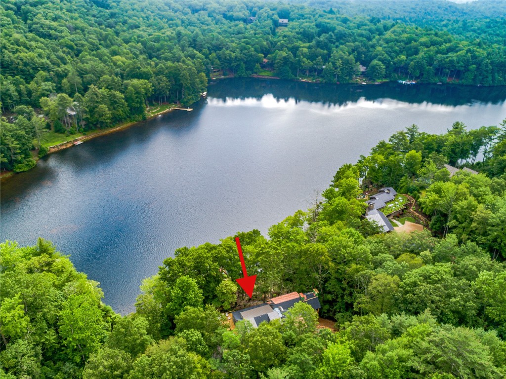 95 Cardinal Trace