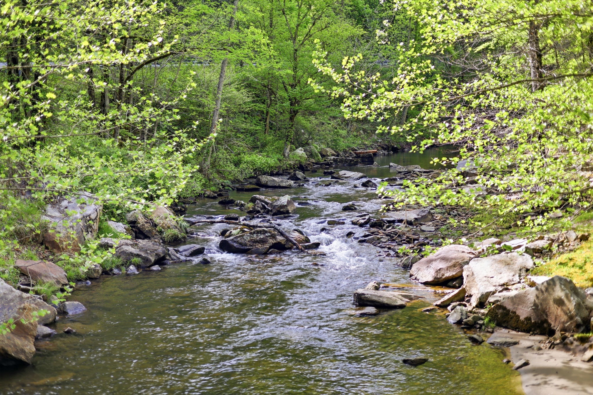 31 Waterdance Drive