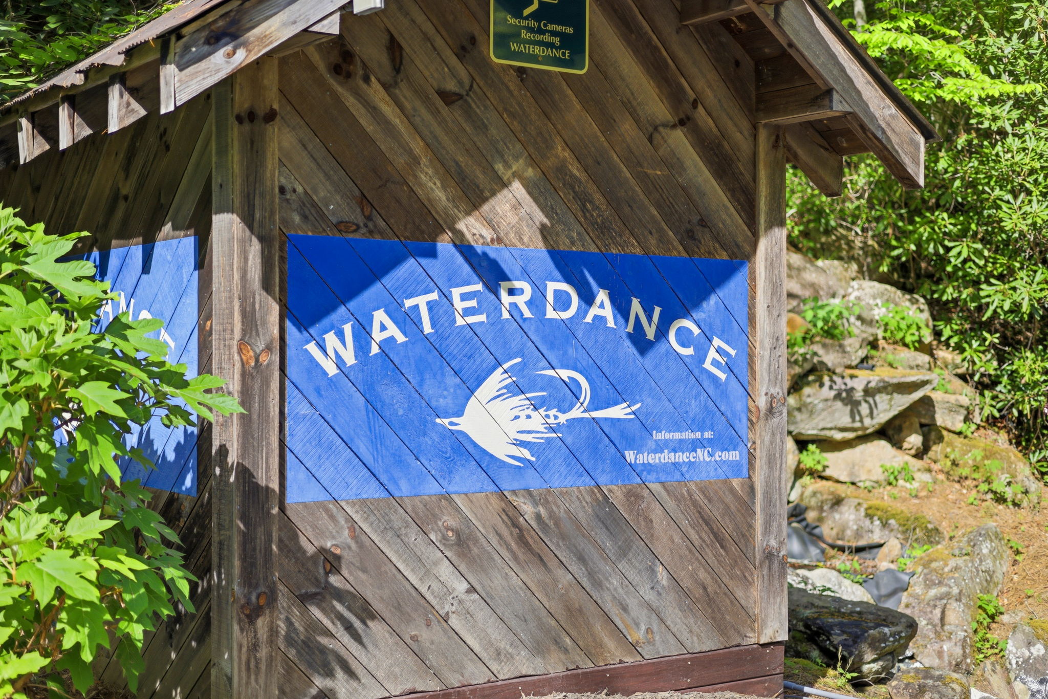 31 Waterdance Drive