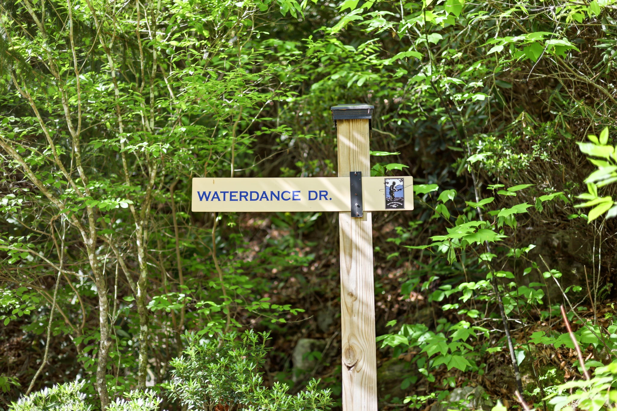 31 Waterdance Drive