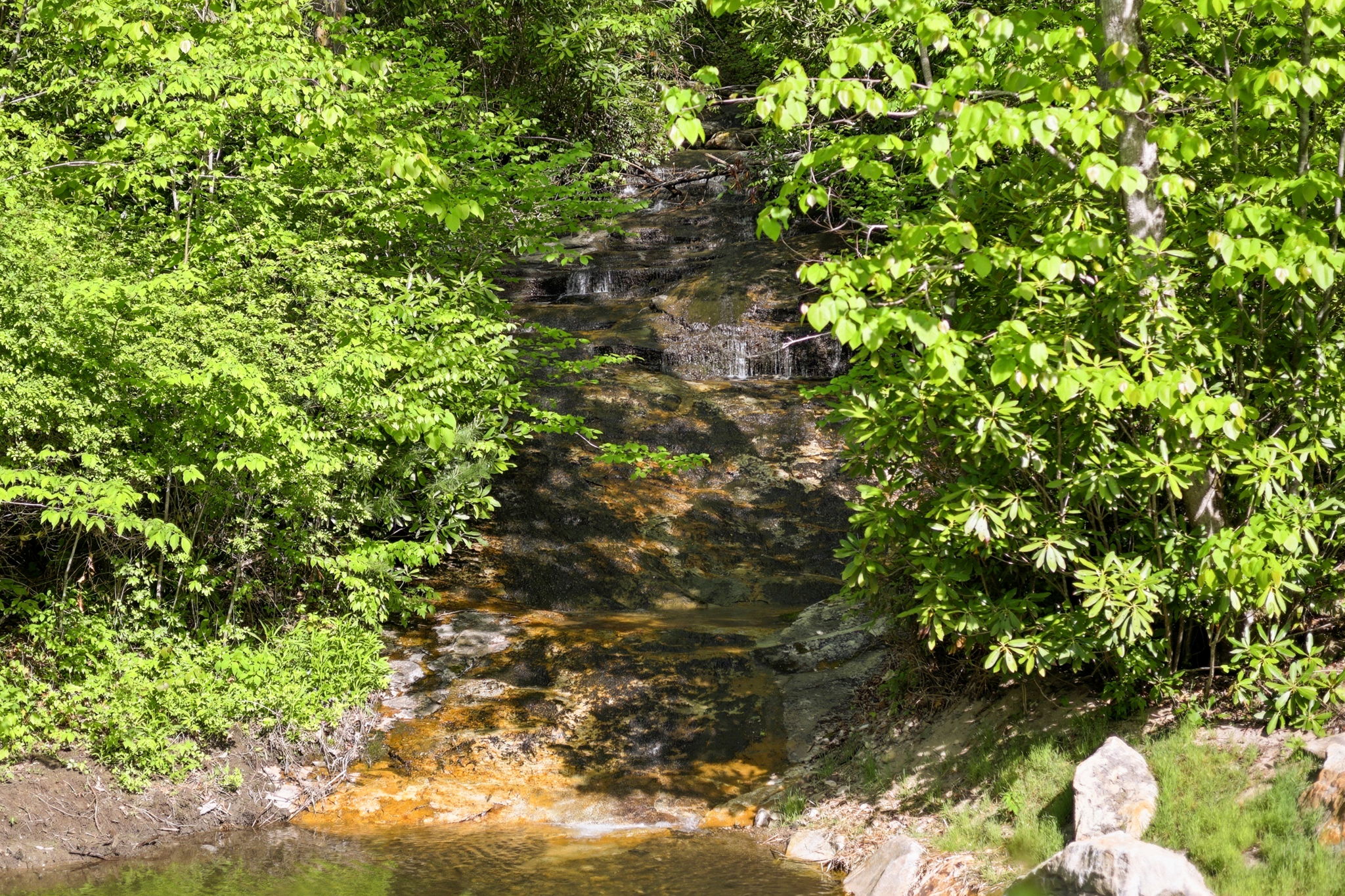 31 Waterdance Drive