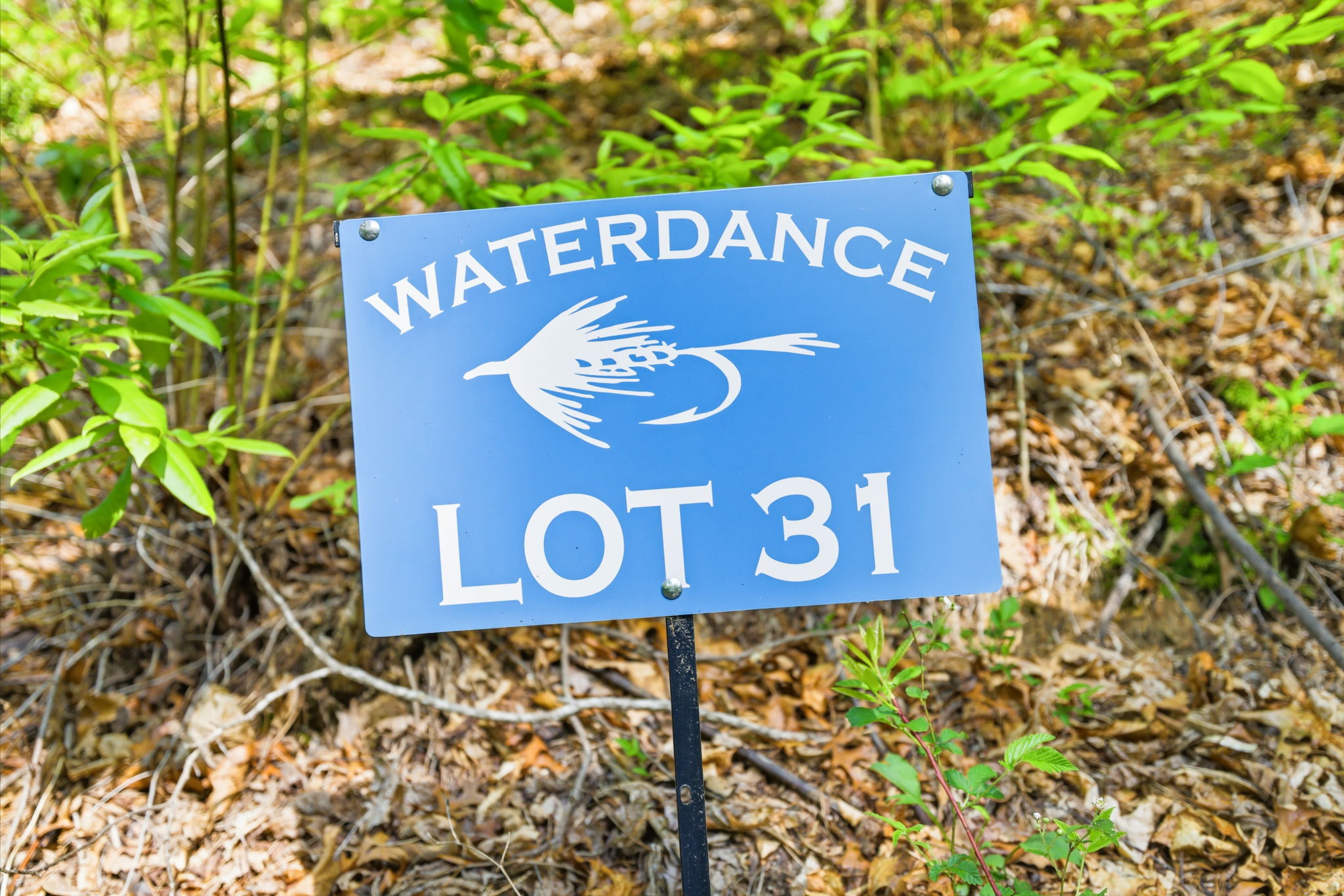 31 Waterdance Drive