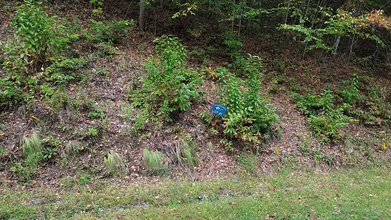 31 Waterdance Drive