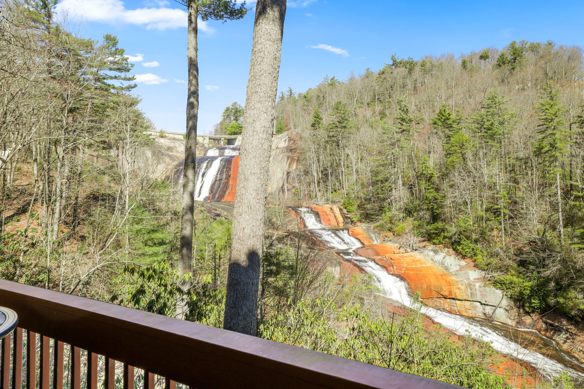 221 Toxaway Falls Drive 1A