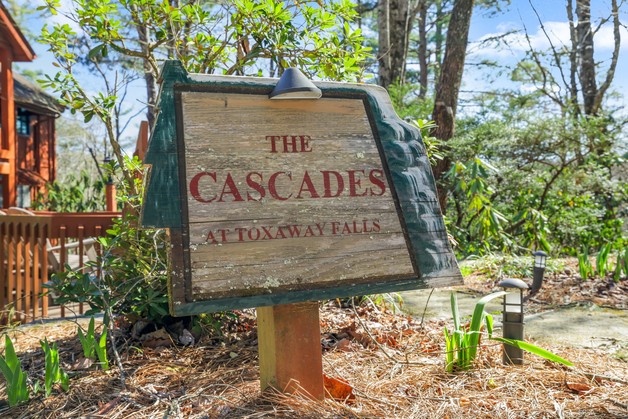 221 Toxaway Falls Drive 1A