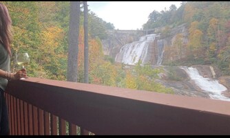 221 Toxaway Falls Drive 1A