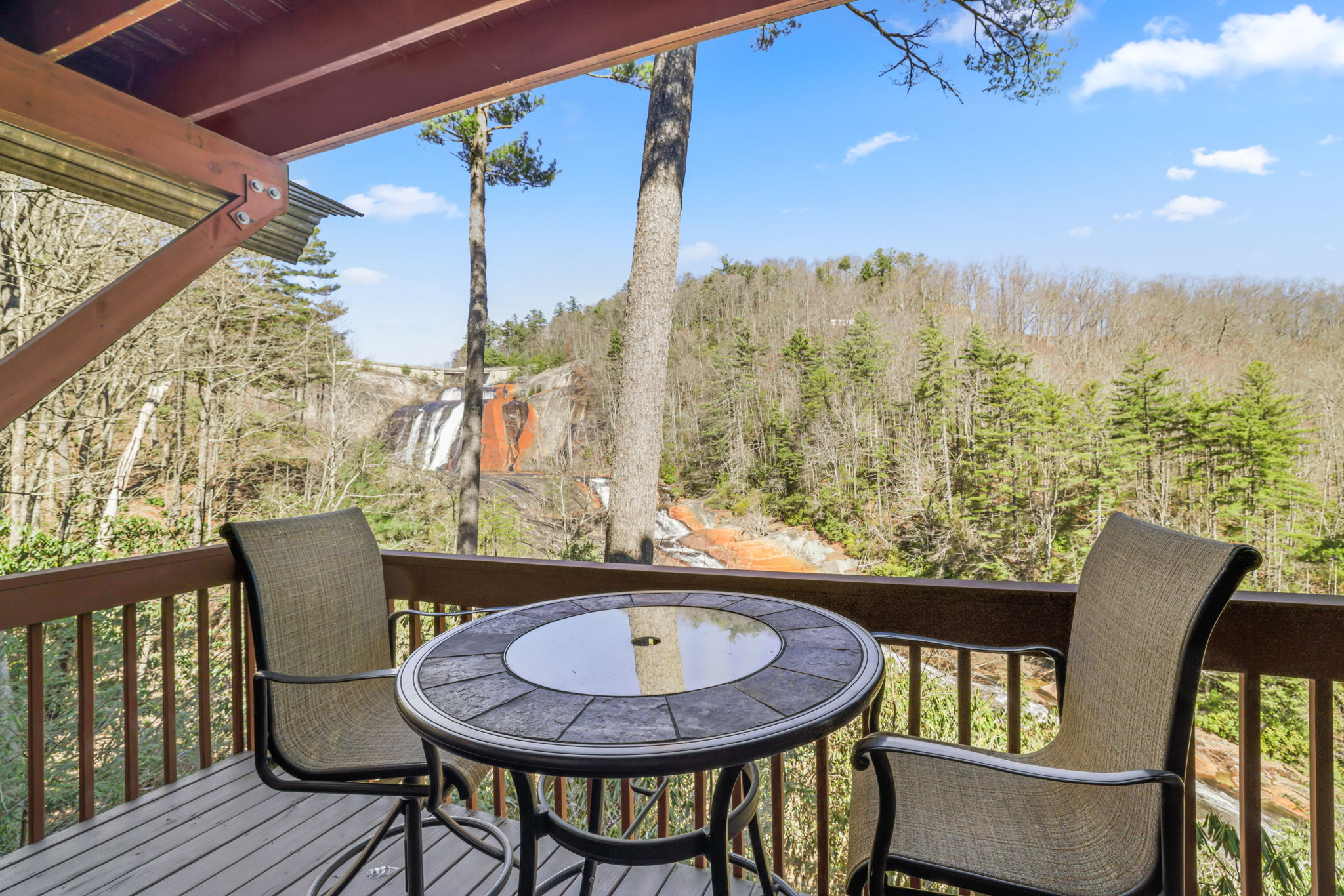 221 Toxaway Falls Drive 1A