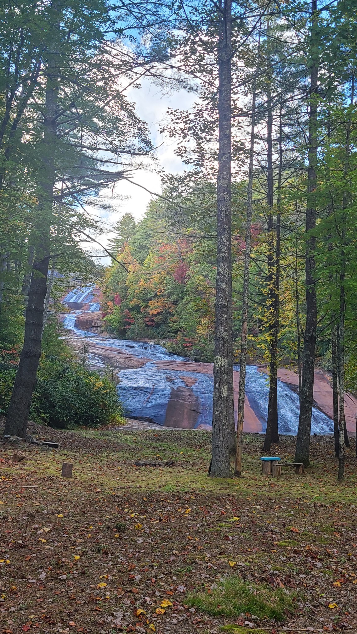 221 Toxaway Falls Drive 1A