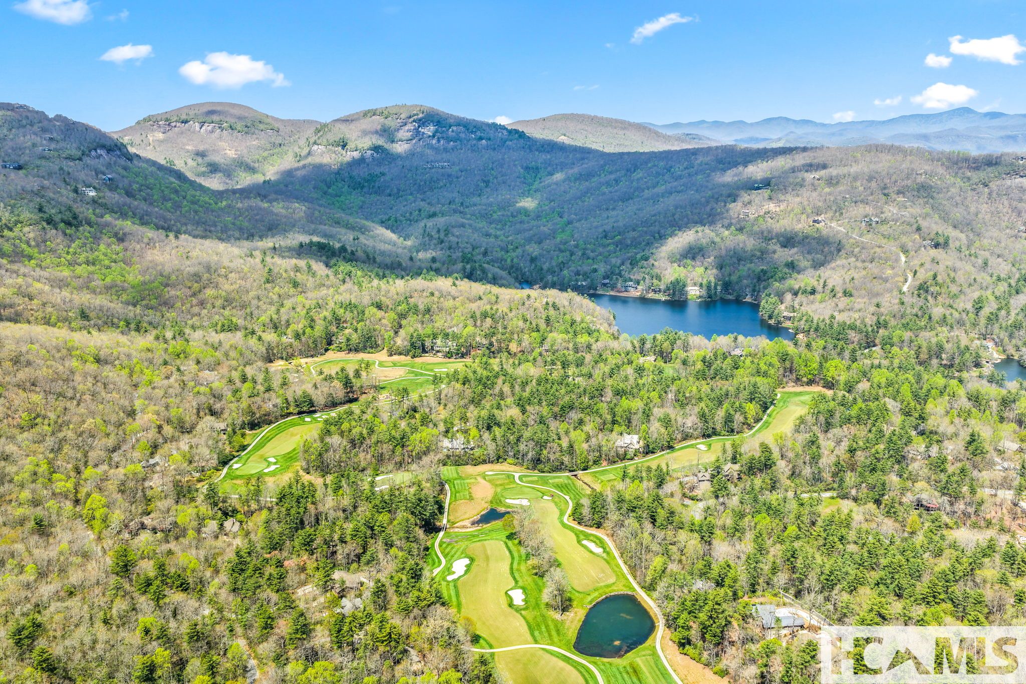 95 Cardinal Trace