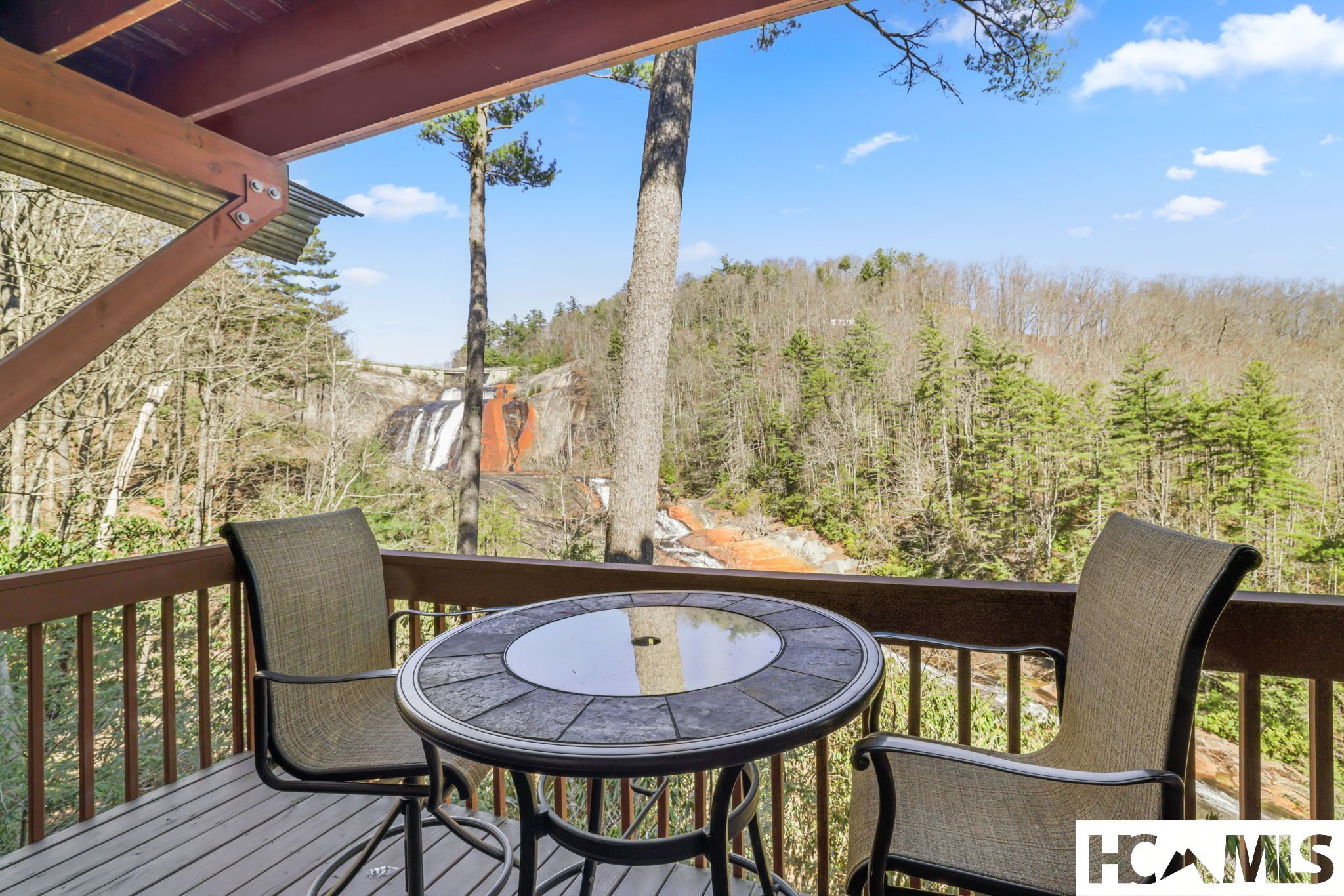 221 Toxaway Falls Drive 1A