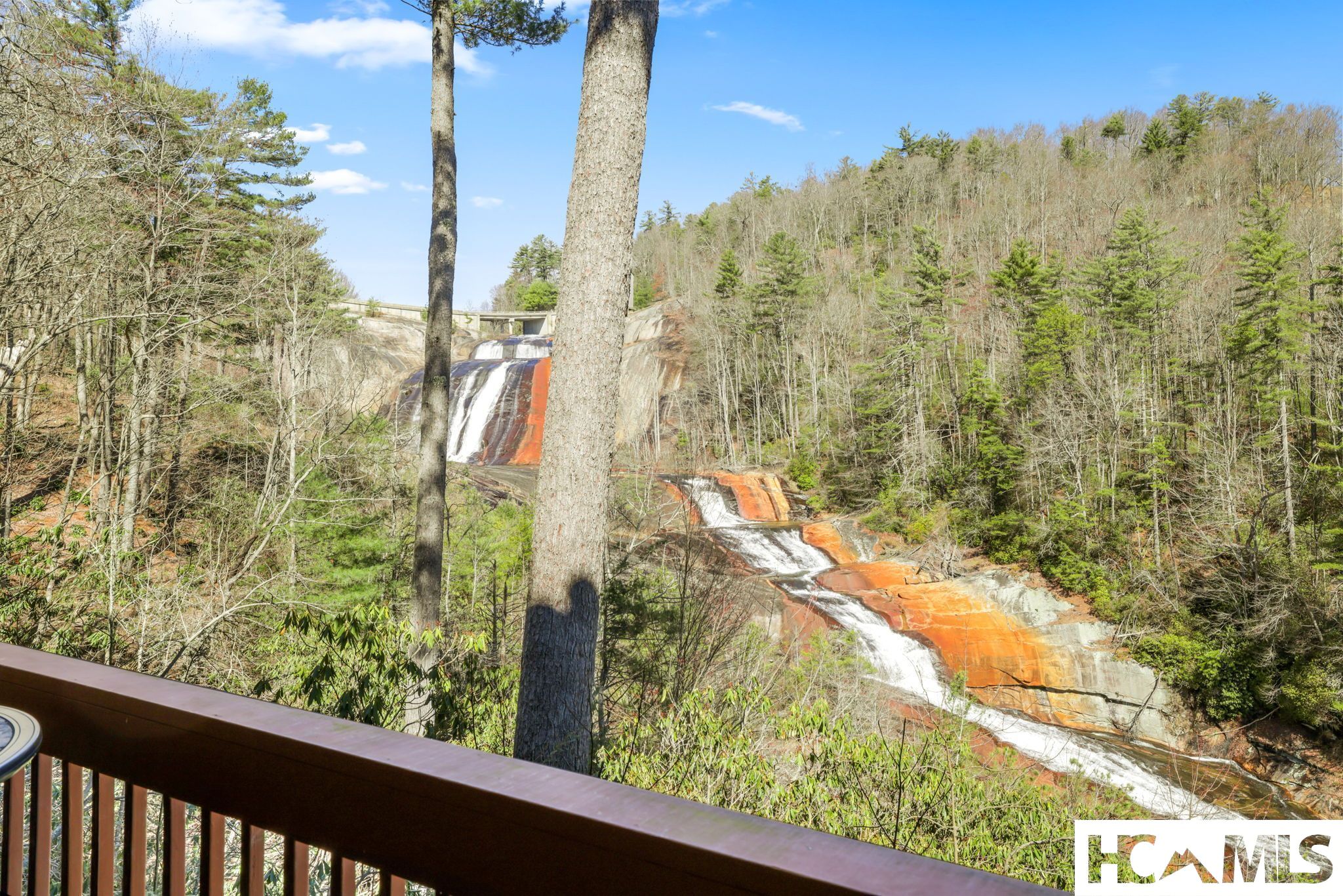 221 Toxaway Falls Drive 1A