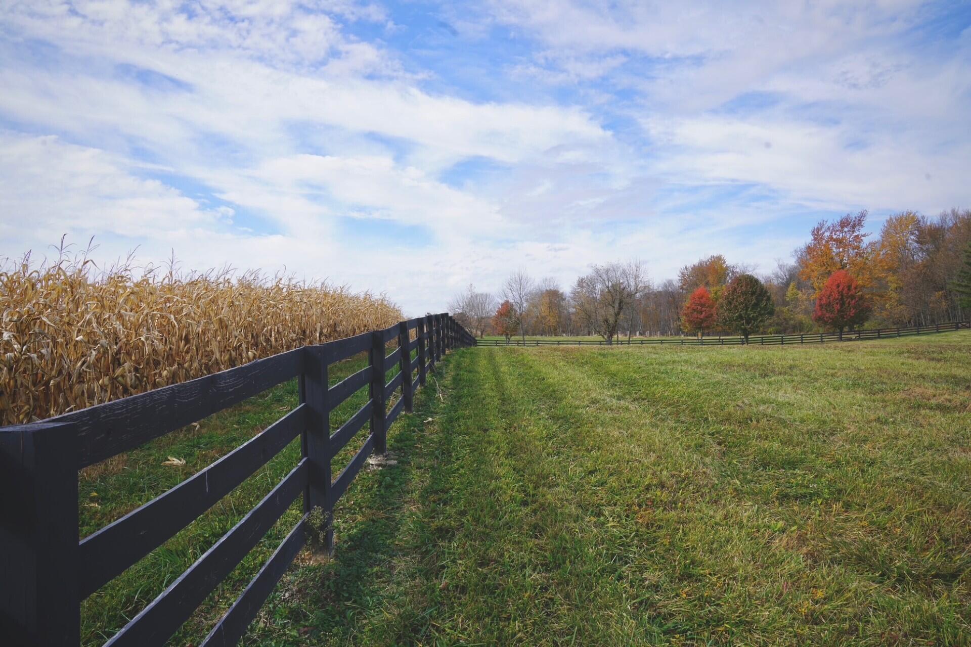 4056 Courter Road SW